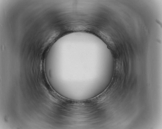 X0000095940206200801110901