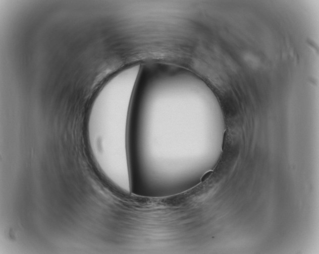 X0000095940207200801110901
