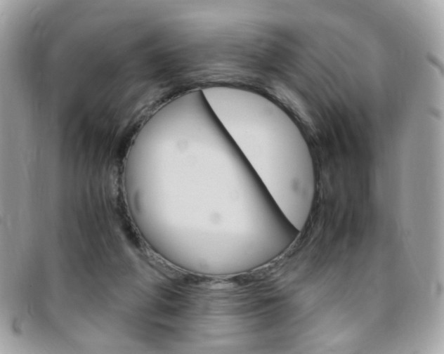 X0000095940210200801110901