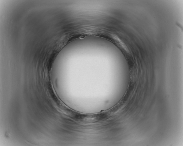 X0000095940213200801110901