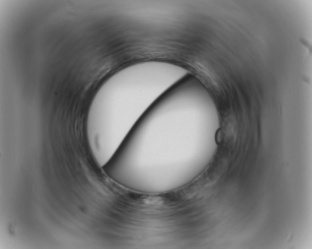 X0000095940214200801110901