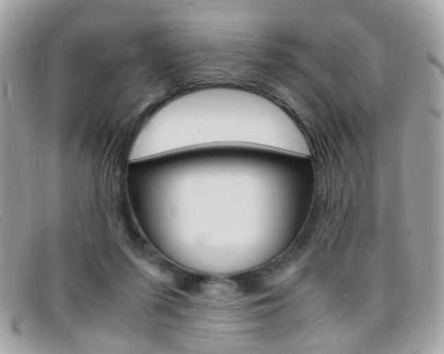 X0000095940215200801110901