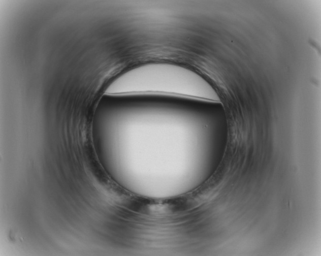 X0000095940216200801110901