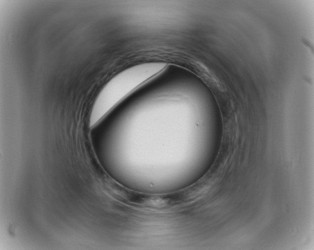 X0000095940217200801110901