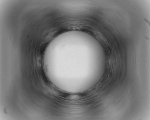 X0000095940218200801110901