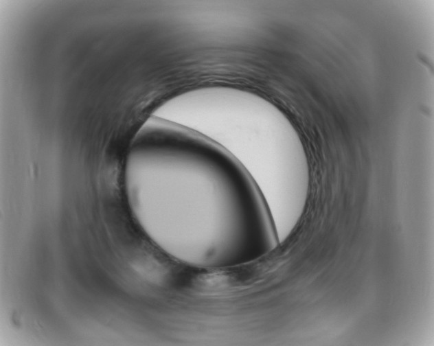 X0000095940219200801110901