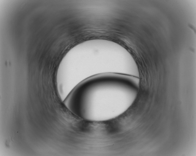 X0000095940221200801110901