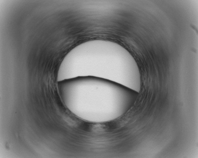 X0000095940222200801110901
