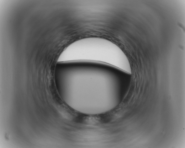 X0000095940223200801110901