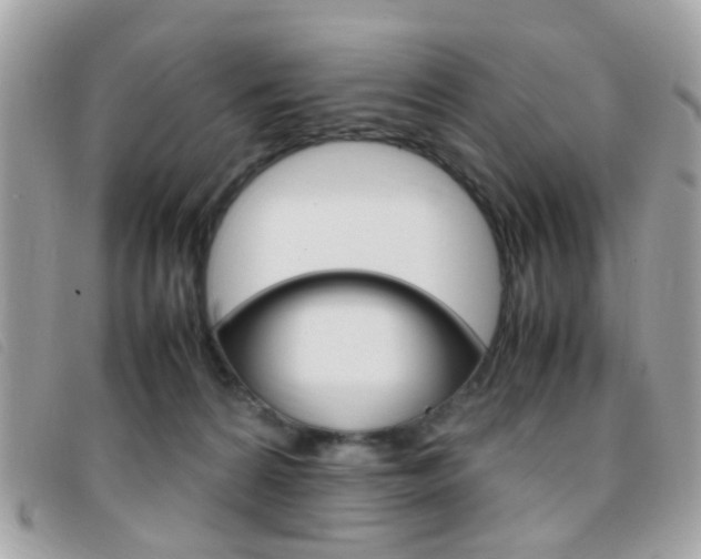 X0000095940224200801110901