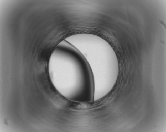 X0000095940225200801110901