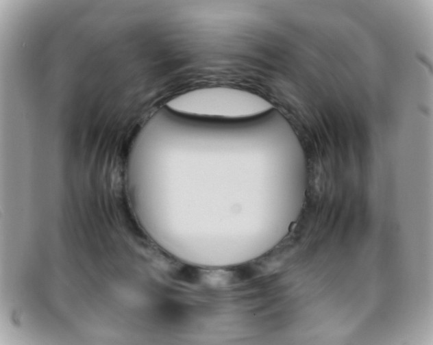 X0000095940226200801110901