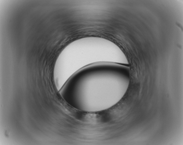X0000095940227200801110901