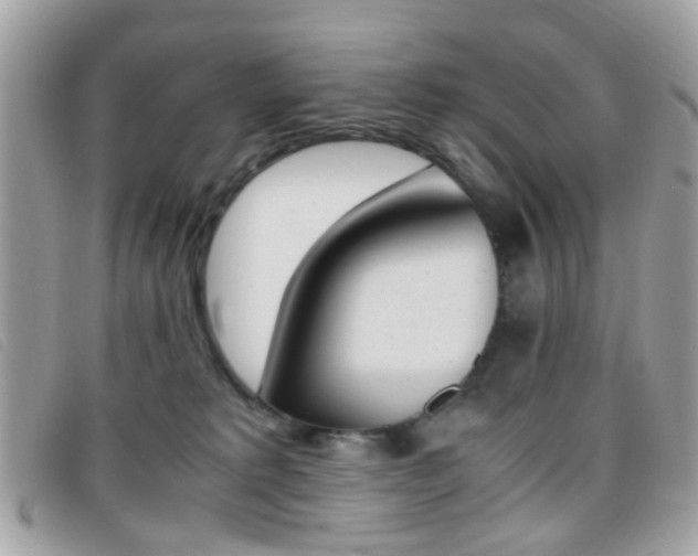 X0000095940229200801110901