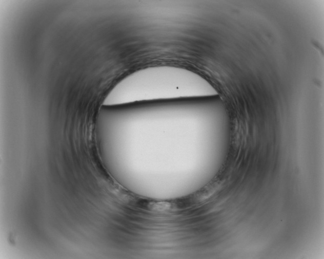 X0000095940230200801110901