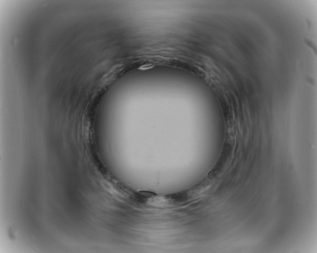 X0000095940231200801110901