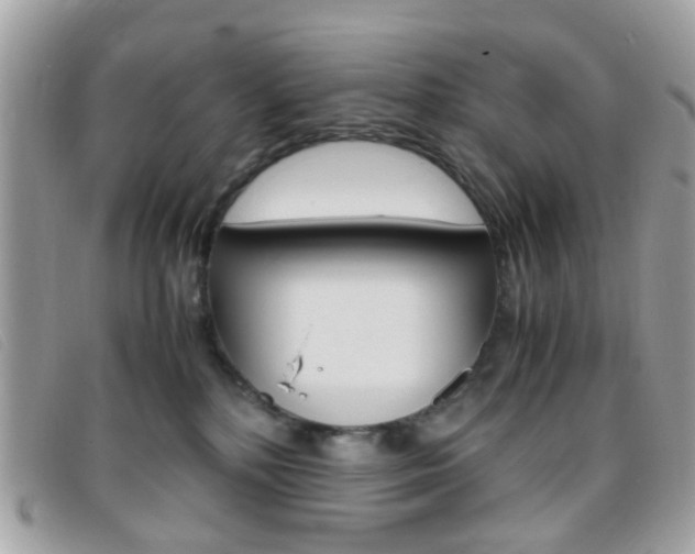 X0000095940232200801110901