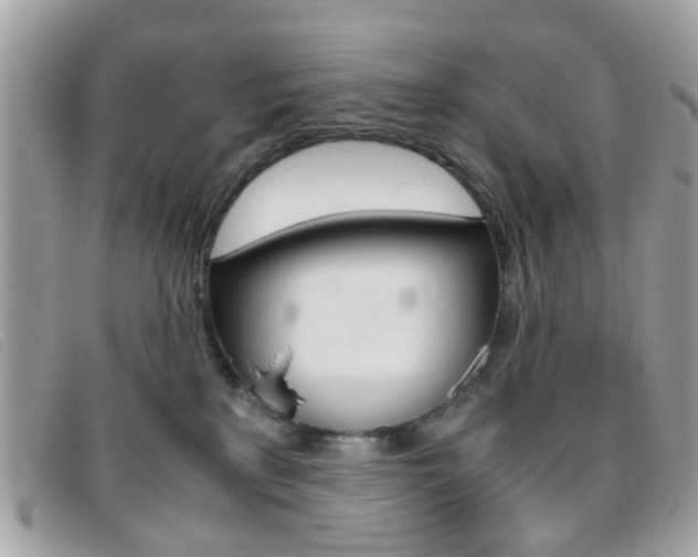 X0000095940233200801110901