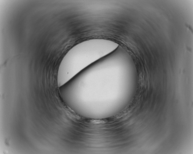 X0000095940234200801110901