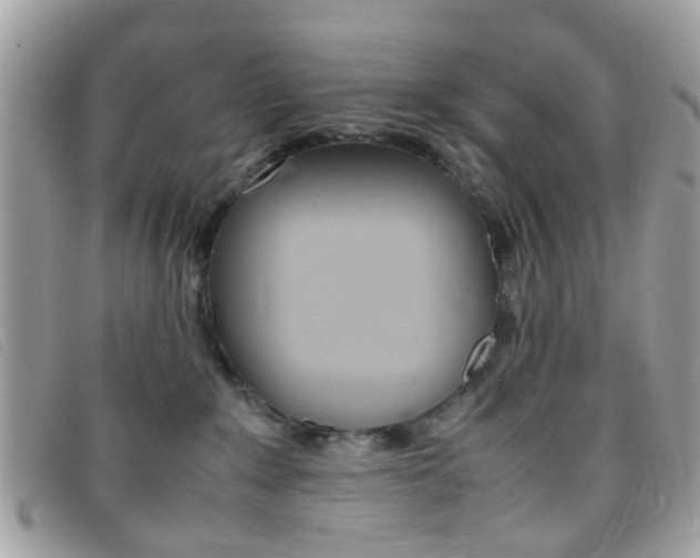 X0000095940235200801110901