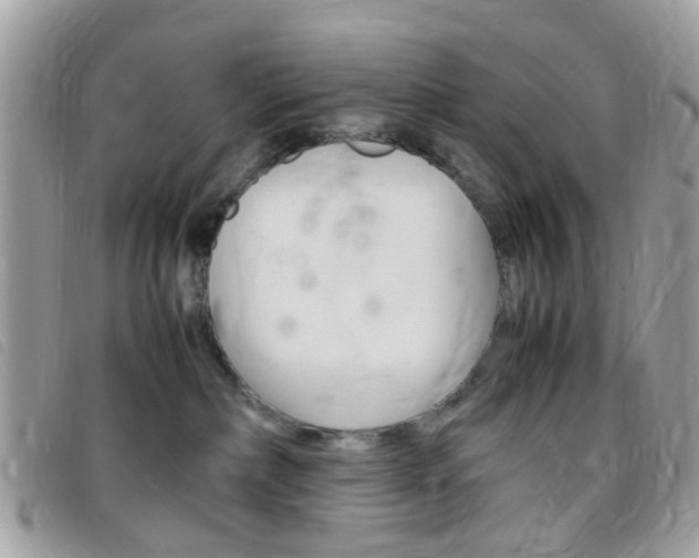 X0000095940236200801110901