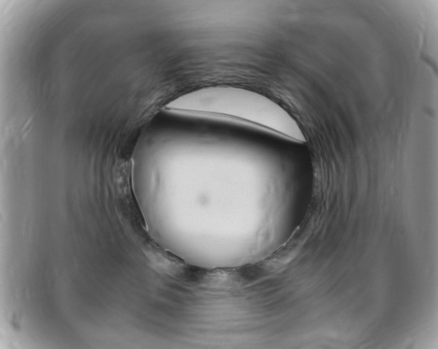 X0000095940237200801110901