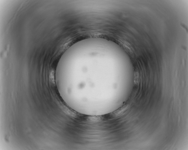 X0000095940238200801110901