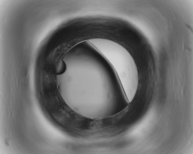 X0000095940239200801110901