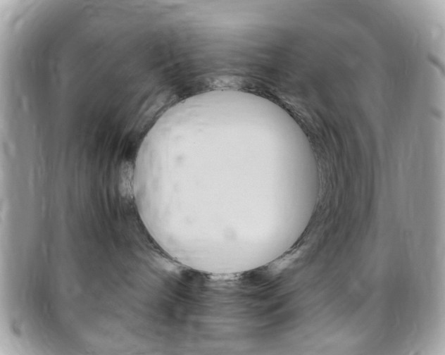 X0000095940240200801110901