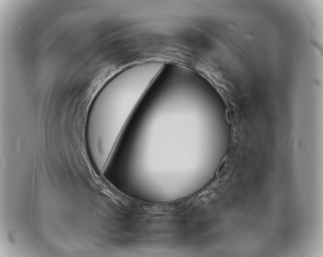 X0000095940241200801110900