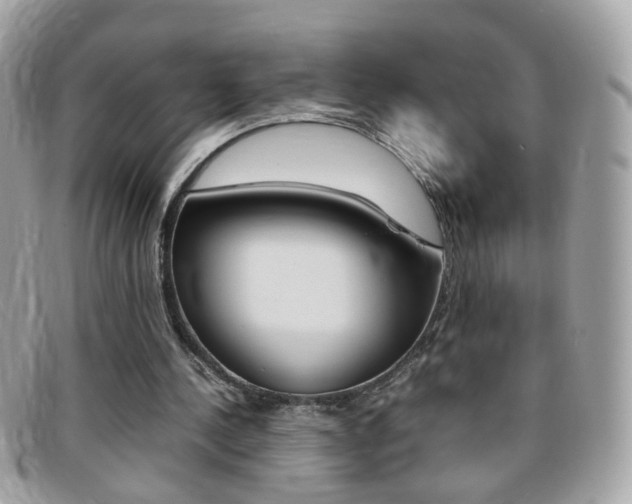X0000095940244200801110900