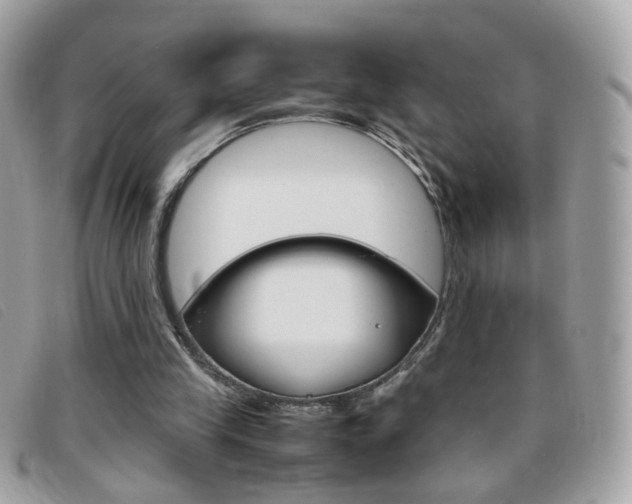 X0000095940245200801110900