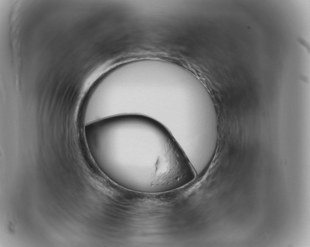 X0000095940246200801110900