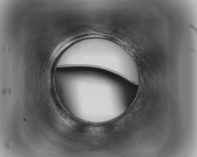 X0000095940247200801110900