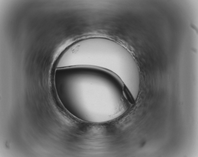 X0000095940248200801110900