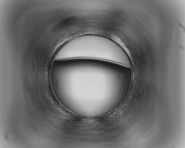X0000095940249200801110900
