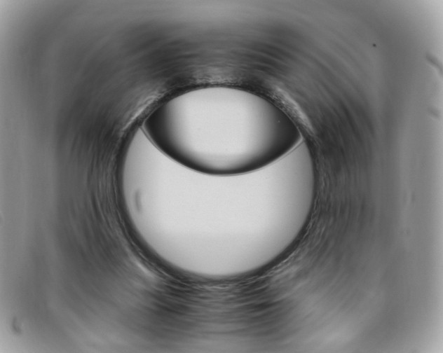 X0000095940251200801110900