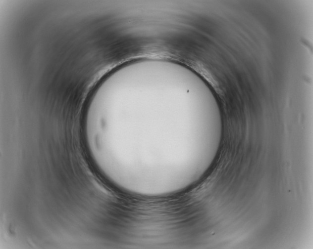 X0000095940252200801110900