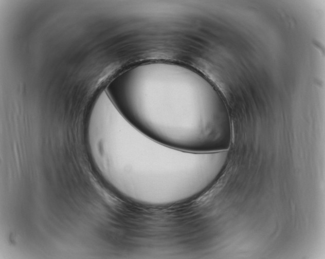 X0000095940253200801110900