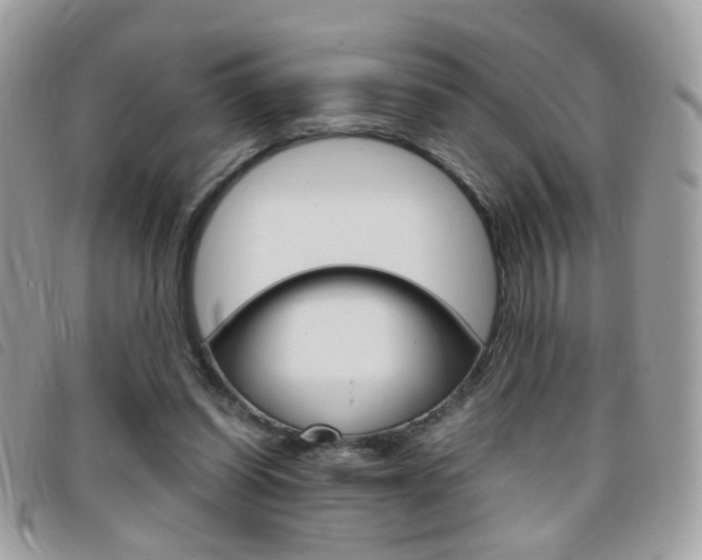 X0000095940254200801110900