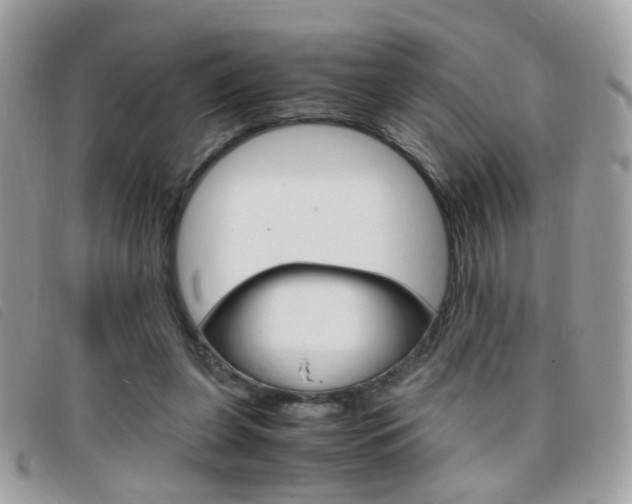 X0000095940255200801110900