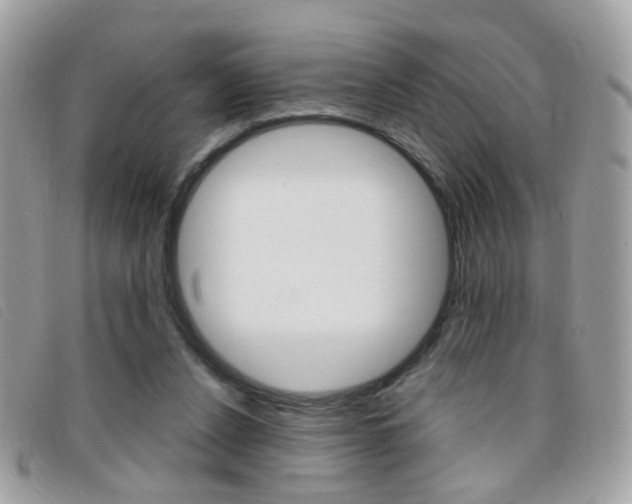 X0000095940256200801110900