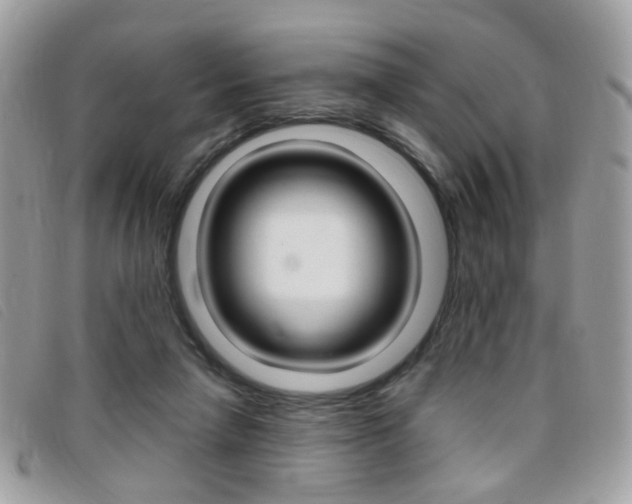 X0000095940258200801110900