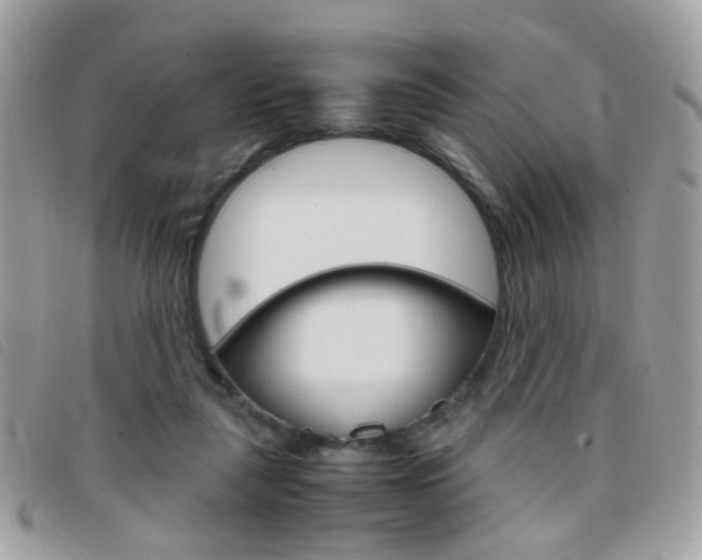 X0000095940259200801110900