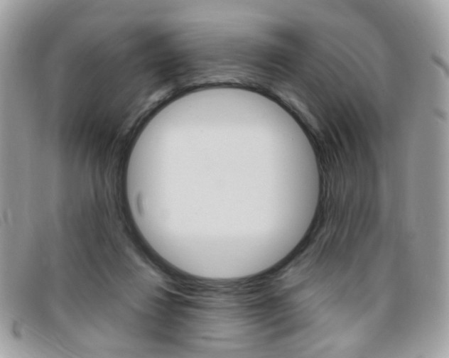 X0000095940260200801110900