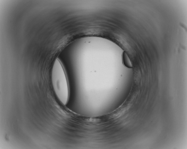 X0000095940261200801110900