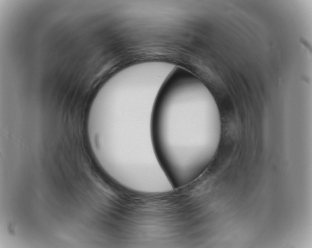 X0000095940262200801110900