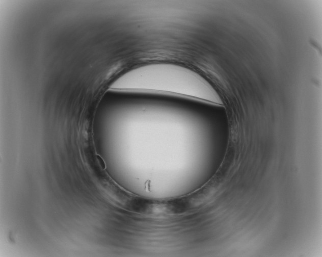 X0000095940264200801110900