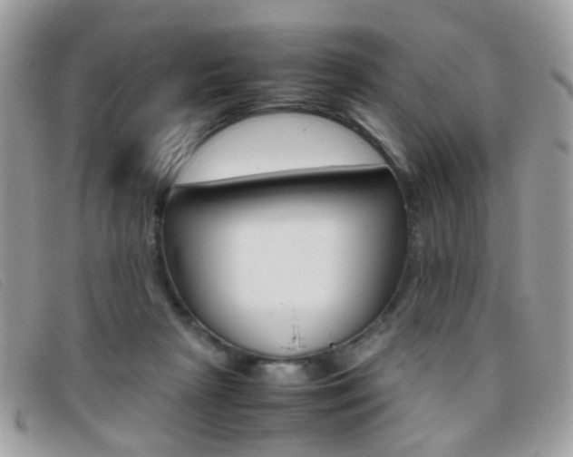 X0000095940265200801110901