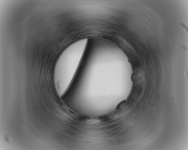 X0000095940266200801110901
